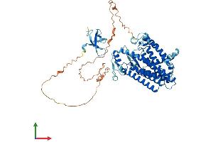 Protein Structure (PS) image for Lamin B Receptor (LBR) (AA 1-615) protein (His tag) (ABIN7548886)