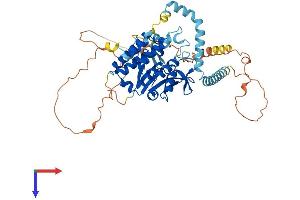 PNPLA2 Protein (AA 1-504) (His tag)