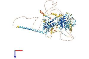 BUB1B Protein (AA 1-1052) (His tag)