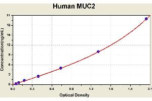 Mucin 2, Oligomeric Mucus/gel-Forming (MUC2) ELISA Kit