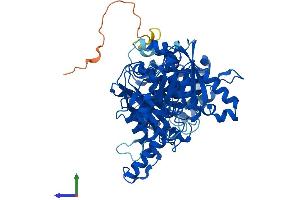 Protein Structure (PS) image for CTP Synthase (CTPS) (AA 1-591) protein (His tag) (ABIN7551150)
