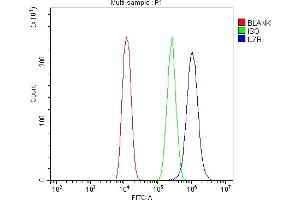 Flow Cytometry analysis of U20S cells using anti-IL7R alpha antibody (ABIN4886632). (IL7R Antikörper  (C-Term))