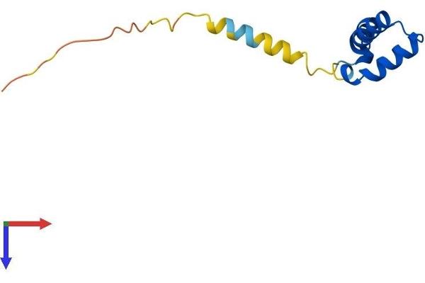 DPY30 Protein (AA 1-99) (His tag)