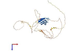 RBM9 Protein (AA 1-390) (His tag)