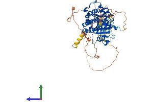 Protein Structure (PS) image for Phosphatidylinositol-4-Phosphate 5-Kinase, Type I, alpha (PIP5K1A) (AA 1-546) protein (His tag) (ABIN7563514)