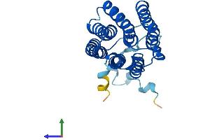 Protein Structure (PS) image for Monocyte To Macrophage Differentiation-Associated 2 (MMD2) (AA 1-247) protein (His tag) (ABIN7559657)