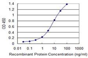 Detection limit for recombinant GST tagged NEK11 is 0. (NEK11 Antikörper  (AA 1-482))