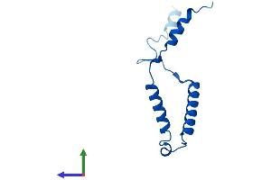Protein Structure (PS) image for Mitochondrial Ribosomal Protein 63 (MRP63) (AA 1-102) protein (His tag) (ABIN7551632)