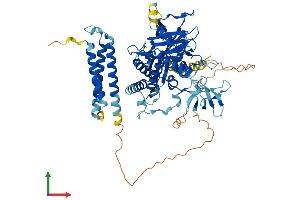 Protein Structure (PS) image for Nephronophthisis 1 (Juvenile) (NPHP1) (AA 1-687) protein (His tag) (ABIN7565155)