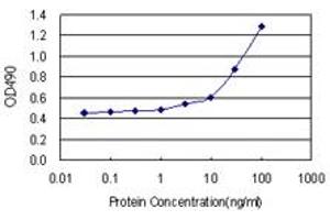 Sandwich ELISA detection sensitivity ranging from 10 ng/mL to 100 ng/mL. (ICAM1 (Human) Matched Antibody Pair)