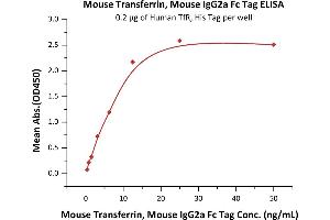 ELISA image for Transferrin (TF) (AA 20-697) protein (Fc Tag) (ABIN6253541)