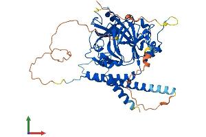 Protein Structure (PS) image for HSPB (Heat Shock 27kDa) Associated Protein 1 (HSPBAP1) (AA 1-483) protein (His tag) (ABIN7558714)