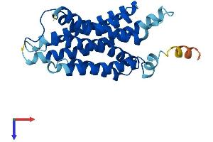 APH1B Protein (AA 1-257) (His tag)