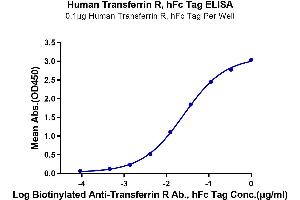 ELISA image for Transferrin Receptor (p90, CD71) (TFRC) (AA 89-760) protein (Fc Tag) (ABIN7275701)