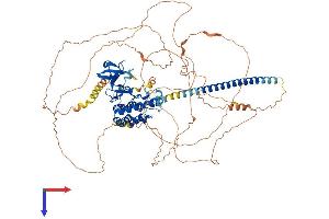 MAP3K12 Protein (AA 1-859) (His tag)