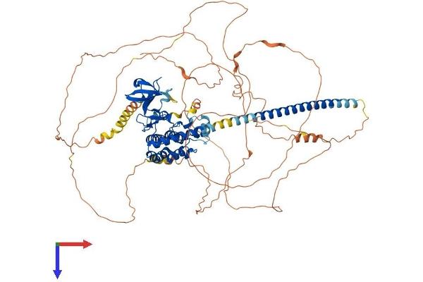 MAP3K12 Protein (AA 1-859) (His tag)