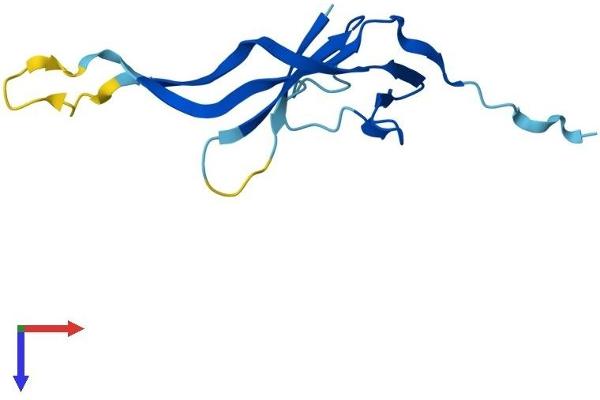 CHTF8 Protein (AA 1-121) (His tag)