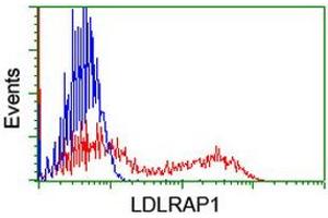 HEK293T cells transfected with either RC206643 overexpress plasmid (Red) or empty vector control plasmid (Blue) were immunostained by anti-LDLRAP1 antibody (ABIN2455229), and then analyzed by flow cytometry. (LDLRAP1 Antikörper)