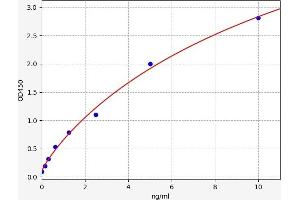 Defensin beta 3 ELISA Kit