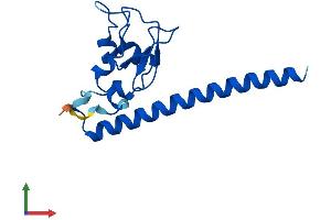 AlphaFold protein structure predicition of Mouse Recombinant Birc5 Protein, UniprotID O70201