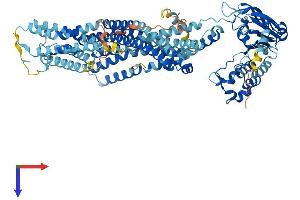 ABCB6 Protein (AA 1-842) (His tag)