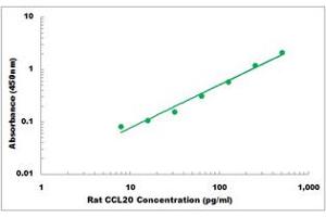 Representative Standard Curve