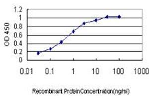 Detection limit for recombinant GST tagged CDX4 is approximately 0. (CDX4 Antikörper  (AA 71-170))