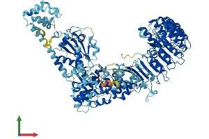 Protein Structure (PS) image for NLR Family, Pyrin Domain Containing 9B (NLRP9B) (AA 1-1003) protein (His tag) (ABIN7564001)