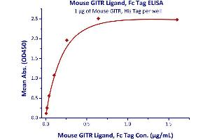 Immobilized Mouse GITR, His Tag  with a linear range of 0.