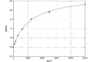 A typical standard curve