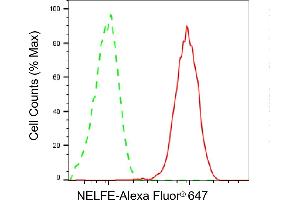 Flow cytometric analysis of NELFE expression in HepG2 cells using NELFE antibody (ABIN7800147), 1:2,000). (Rekombinanter RDBP Antikörper)