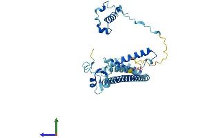 Protein Structure (PS) image for Menage A Trois Homolog 1, Cyclin H Assembly Factor (Xenopus Laevis) (MNAT1) (AA 1-309) protein (His tag) (ABIN7563409)