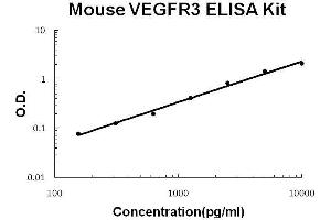 Mouse VEGFR3/FLT4 PicoKine ELISA Kit standard curve