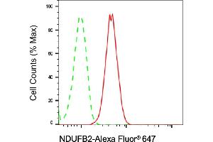 Flow cytometric analysis of NDUFB2 expression in C2C12 cells using NDUFB2 antibody (ABIN7799550), 1:2,000). (Rekombinanter NDUFB2 Antikörper)