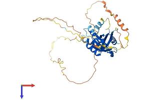 REM2 Protein (AA 1-341) (His tag)
