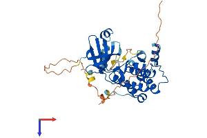 Aurora Kinase B Protein (AURKB) (AA 1-344) (His tag)