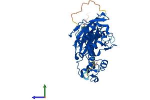 Protein Structure (PS) image for Aminoadipate-Semialdehyde Dehydrogenase-phosphopantetheinyl Transferase (AASDHPPT) (AA 1-309) protein (His tag) (ABIN7551928)