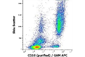 Flow cytometry surface staining pattern of human peripheral whole blood stained using anti-human CD16 (3G8) purified antibody (concentration in sample 2 μg/mL, GAM APC).