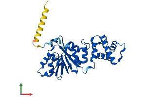Protein Structure (PS) image for DIM1 Dimethyladenosine Transferase 1 Homolog (DIMT1) (AA 1-313) protein (His tag) (ABIN7560829)