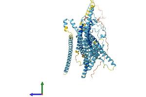 Protein Structure (PS) image for Transmembrane Channel-Like 1 (TMC1) (AA 1-757) protein (His tag) (ABIN7559765)