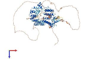 TTC15 Protein (AA 1-797) (His tag)