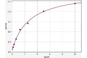 Typical standard curve (Caspase 2 ELISA Kit)