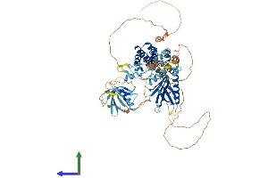 Protein Structure (PS) image for FYVE, RhoGEF and PH Domain Containing 3 (FGD3) (AA 1-725) protein (His tag) (ABIN7547738)