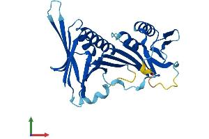 Protein Structure (PS) image for HUS1 Checkpoint Homolog B (HUS1B) (AA 1-278) protein (His tag) (ABIN7548436)