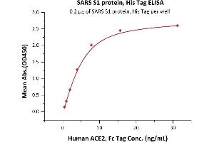 Immobilized SARS S1 protein, His Tag (ABIN6952622) at 2 μg/mL (100 μL/well) can bind Human ACE2, Fc Tag (ABIN6952465) with a linear range of 0. (SARS-CoV S1 Protein (His tag))