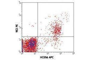 Flow Cytometry (FACS) image for anti-Natural Cytotoxicity Triggering Receptor 1 (NCR1) antibody (PE) (ABIN2663378) (NCR1 Antikörper  (PE))