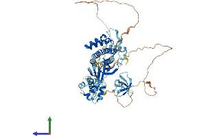 Protein Structure (PS) image for EPS8-Like 3 (EPS8L3) (AA 1-600) protein (His tag) (ABIN7560043)