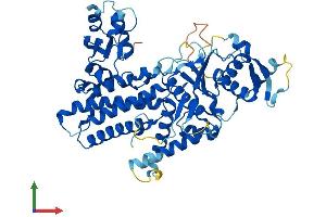 Protein Structure (PS) image for DALR Anticodon Binding Domain Containing 3 (DALRD3) (AA 1-538) protein (His tag) (ABIN7558089)