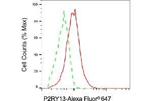 Flow cytometric analysis of P2RY13 expression in HT- cells using P2RY13 antibody (ABIN7800070), 1:2,000). (Rekombinanter Purinergic Receptor P2Y, G-Protein Coupled, 13 (P2RY13) Antikörper)