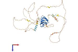 ETV3 Protein (AA 1-513) (His tag)